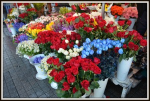 Cut flowers at Taksim Square